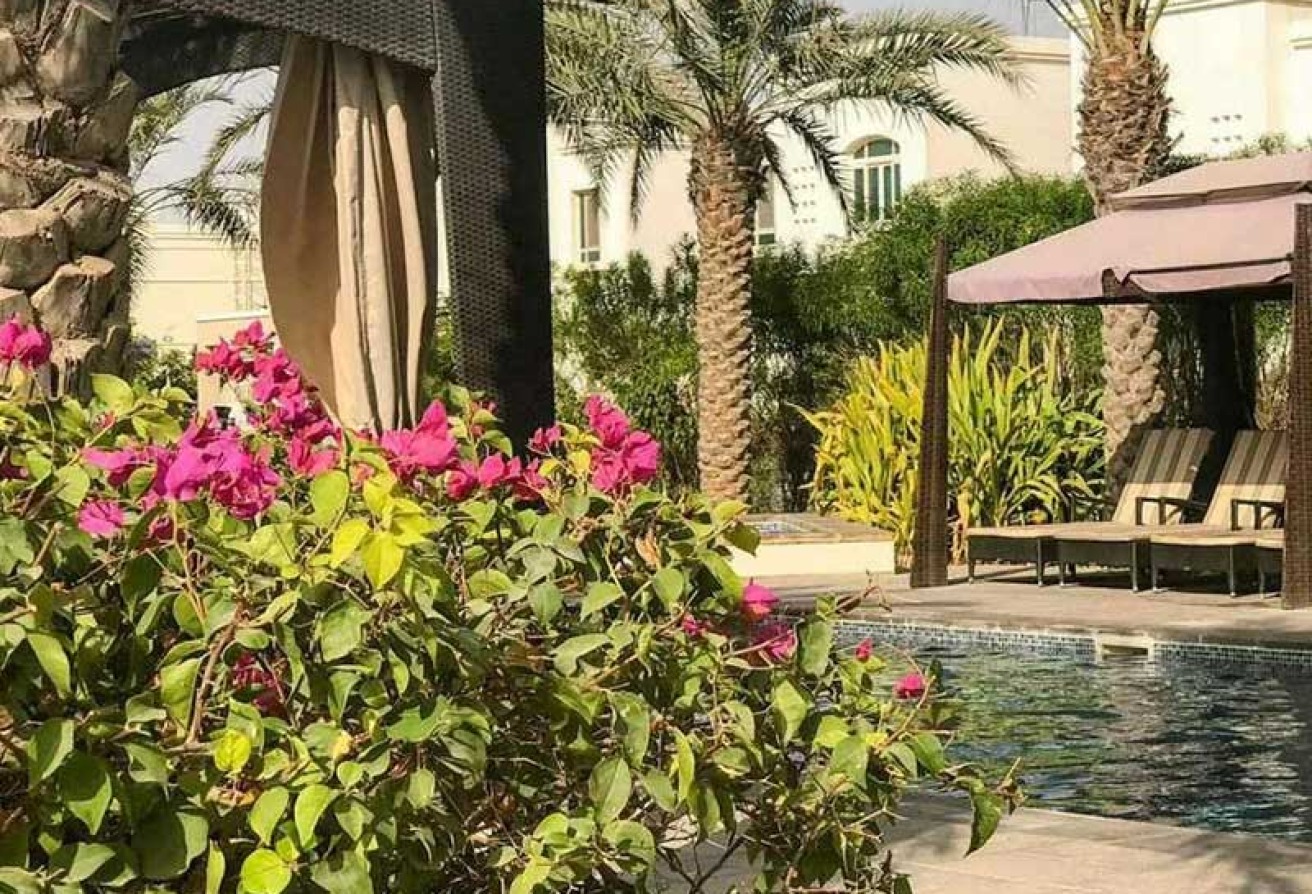 Single Row- Townhouse- Rented till October